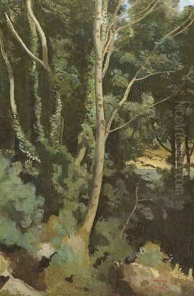 Paysage - view 1