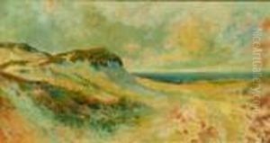 Dunes Dunes