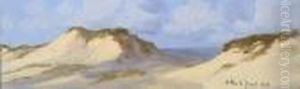 Panoramic Seascape Withdunes Panoramic Seascape Withdunes
