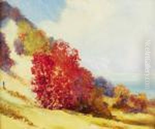 Along The Dunes - view 1
