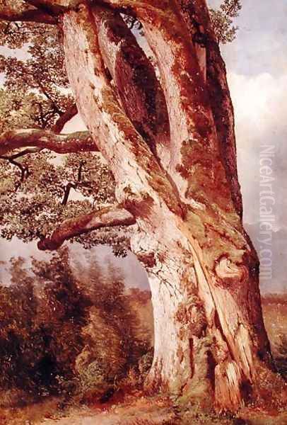 The Oak - view 1