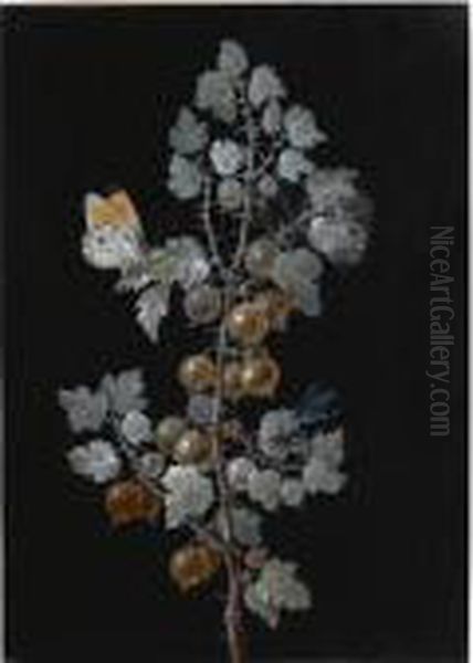 A Gooseberry Branch, With A Dragonfly, Butterfly And Caterpillar - view 1