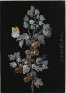 A Gooseberry Branch, With A Dragonfly, Butterfly And Caterpillar by Barbara Regina Dietzsch