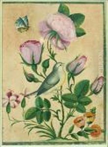 Mesange Sur Un Rosier