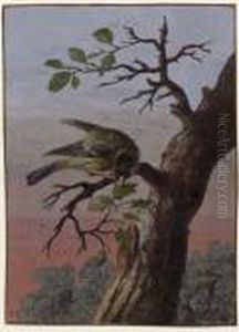 A Finch On A Branch by Barbara Regina Dietzsch