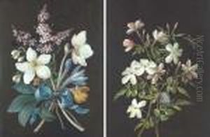 A Bouquet Of Flowers by Barbara Regina Dietzsch