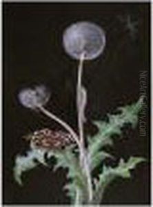 A Dandelion With A Butterfly And A Caterpillar