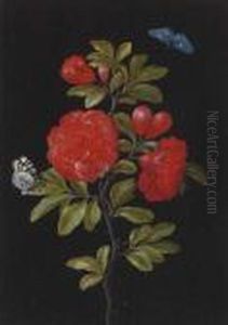 Still Life Of A Rose And Butterflies by Barbara Regina Dietzsch