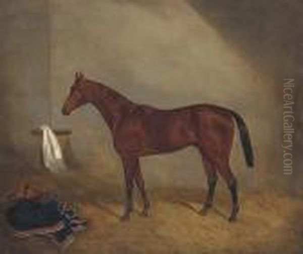 A Bay Racehorse In A Stable - view 1