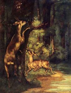 Male and Female Deer in the Woods