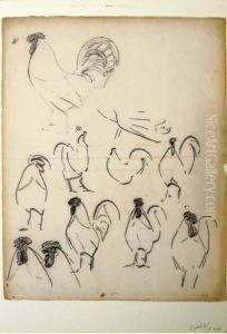 Birds Birds