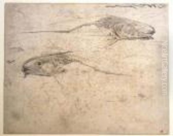 Fishes - view 1