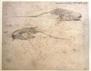 Fishes by Gerrit Willem Dijsselhof
