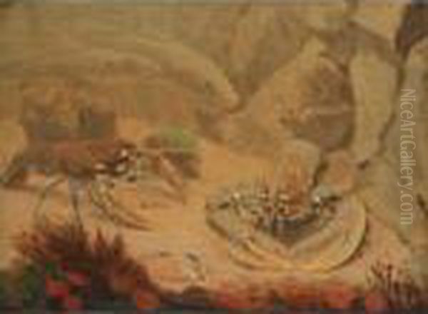 Lobsters In An Aquarium - view 1