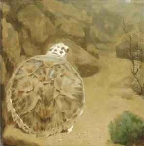 A Turtle