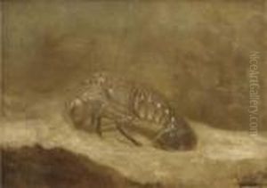 A Lobster A Lobster