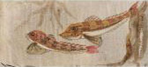 Two Red Snappers - view 1