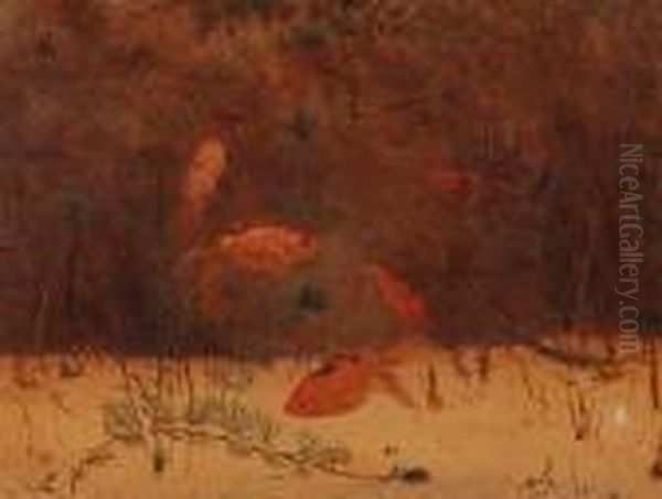 Gold-fish - view 1