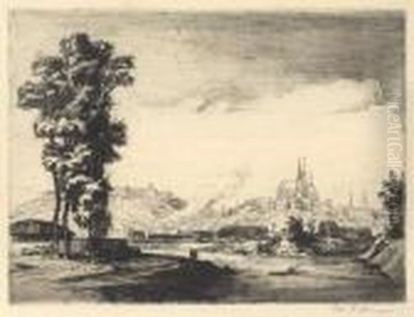 View To Brno From Junction Of Svratka And Svitava - view 1