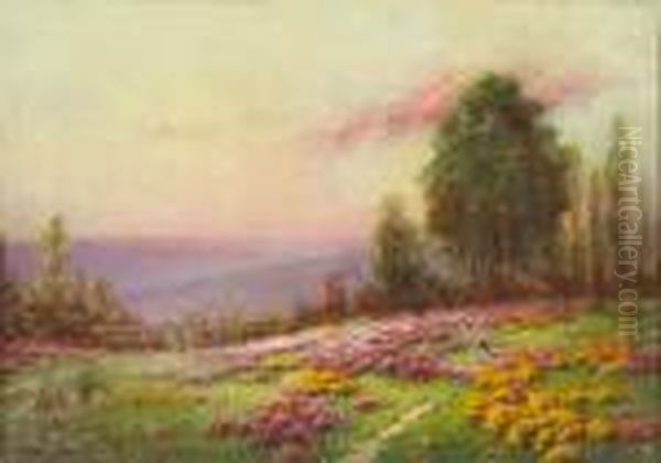 A Summer Meadow - view 1