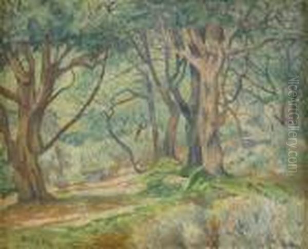 Skogsdunge - view 1