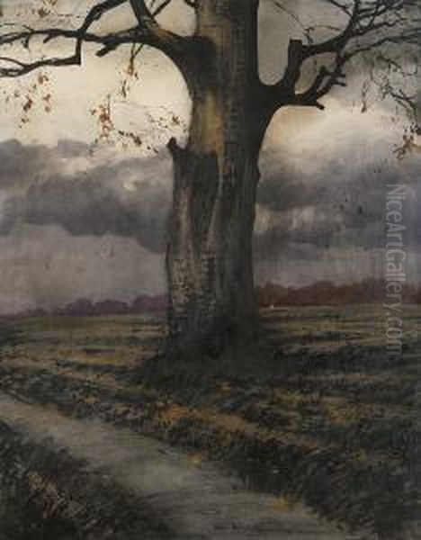 Samotne Drzewo - view 1
