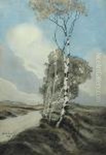 Polna Droga - view 1