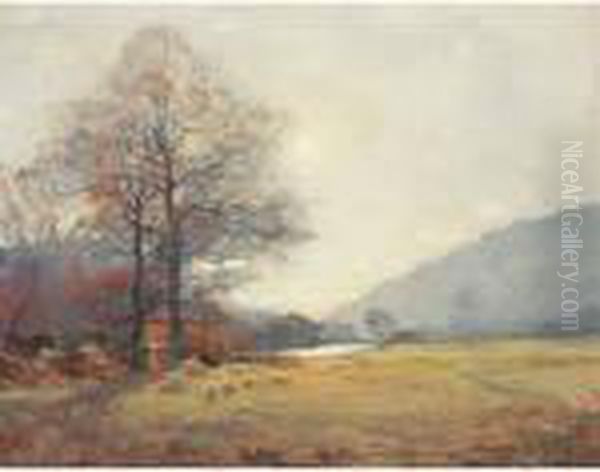 Sheep Grazing In An Autumnal Landscape - view 1