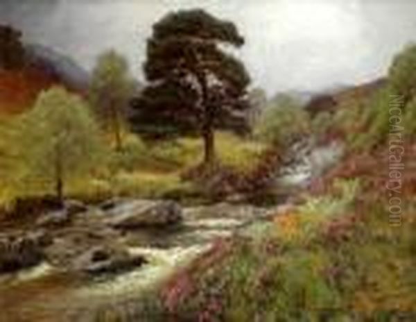Fir Tree Pool, Cononish River Tyndrum - view 1