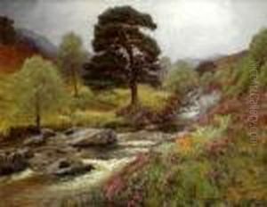 Fir Tree Pool, Cononish River Tyndrum by Alexander Brownlie Docharty