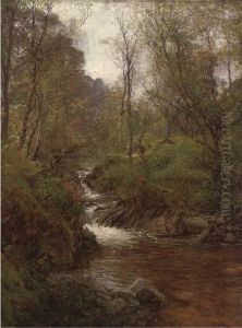 A Wooded Stream by Alexander Brownlie Docharty