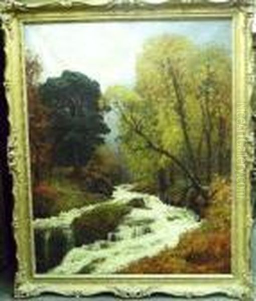 Woodland Stream, Autumn - view 1