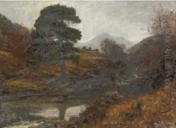 A Salmon Pool - view 1