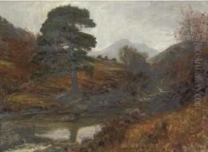 A Salmon Pool