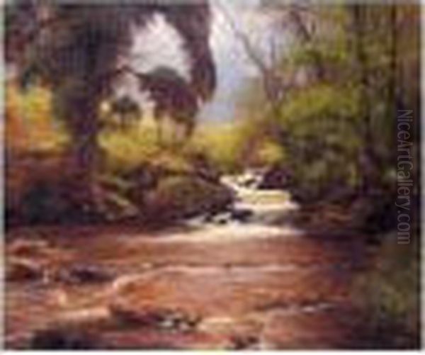 A Woodland Stream - view 1