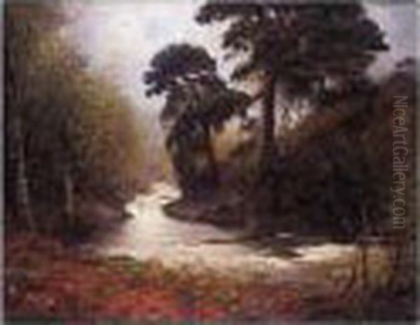The River In Autumn - view 1