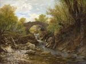 The Young Angler