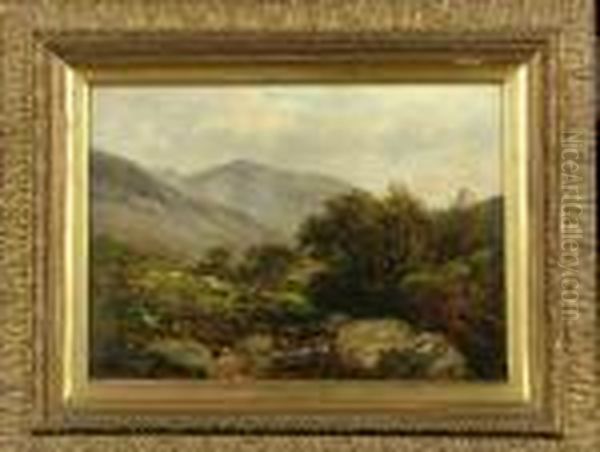 Near Braemar - view 1