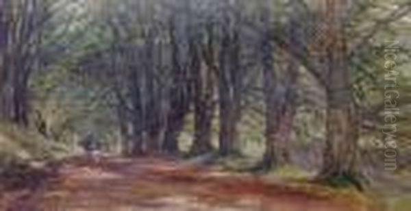Beech Avenue, Inverary Castle - view 1