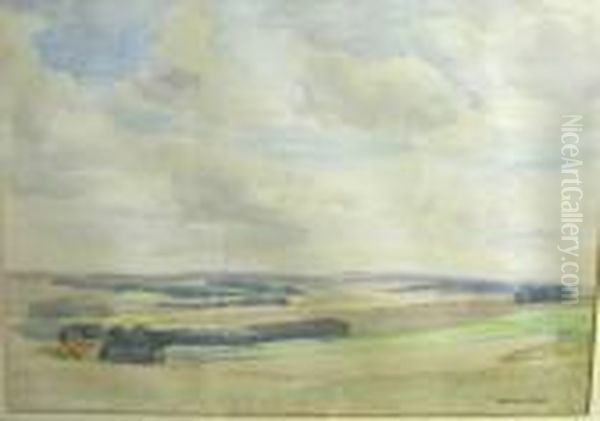 Sussex Downs - view 1