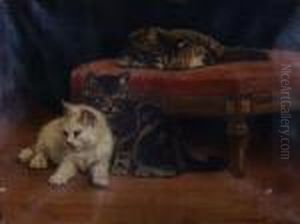Cats By A Stool