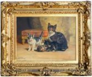 Cat With Her Kittens
