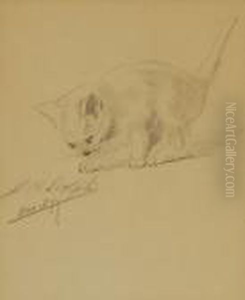 Sketch Of A Kitten - view 1