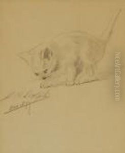 Sketch Of A Kitten by John Henry Dolph