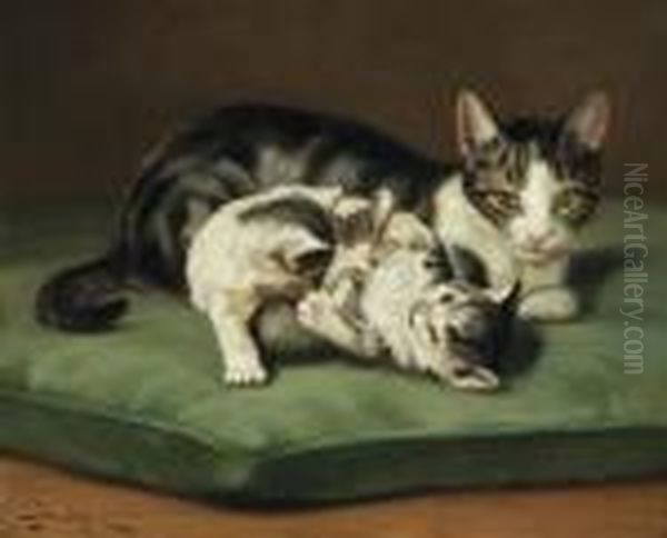 A Mother And Her Two Kittens - view 1