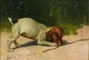 The Playful Pup by John Henry Dolph