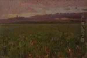 Paisaje Paisaje