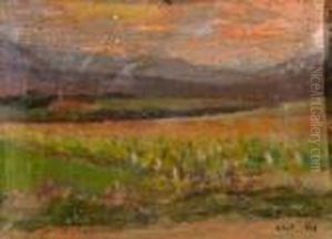 Paisaje. Paisaje.