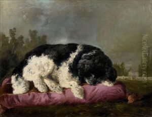 A Portrait Of The Artist's Dog Asleep A Portrait Of The Artist's Dog Asleep