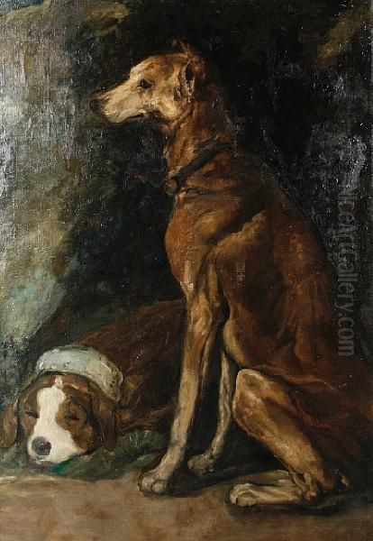 Perros - view 1